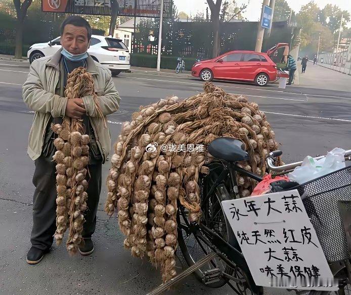 大叔这智商，卖大蒜屈才了