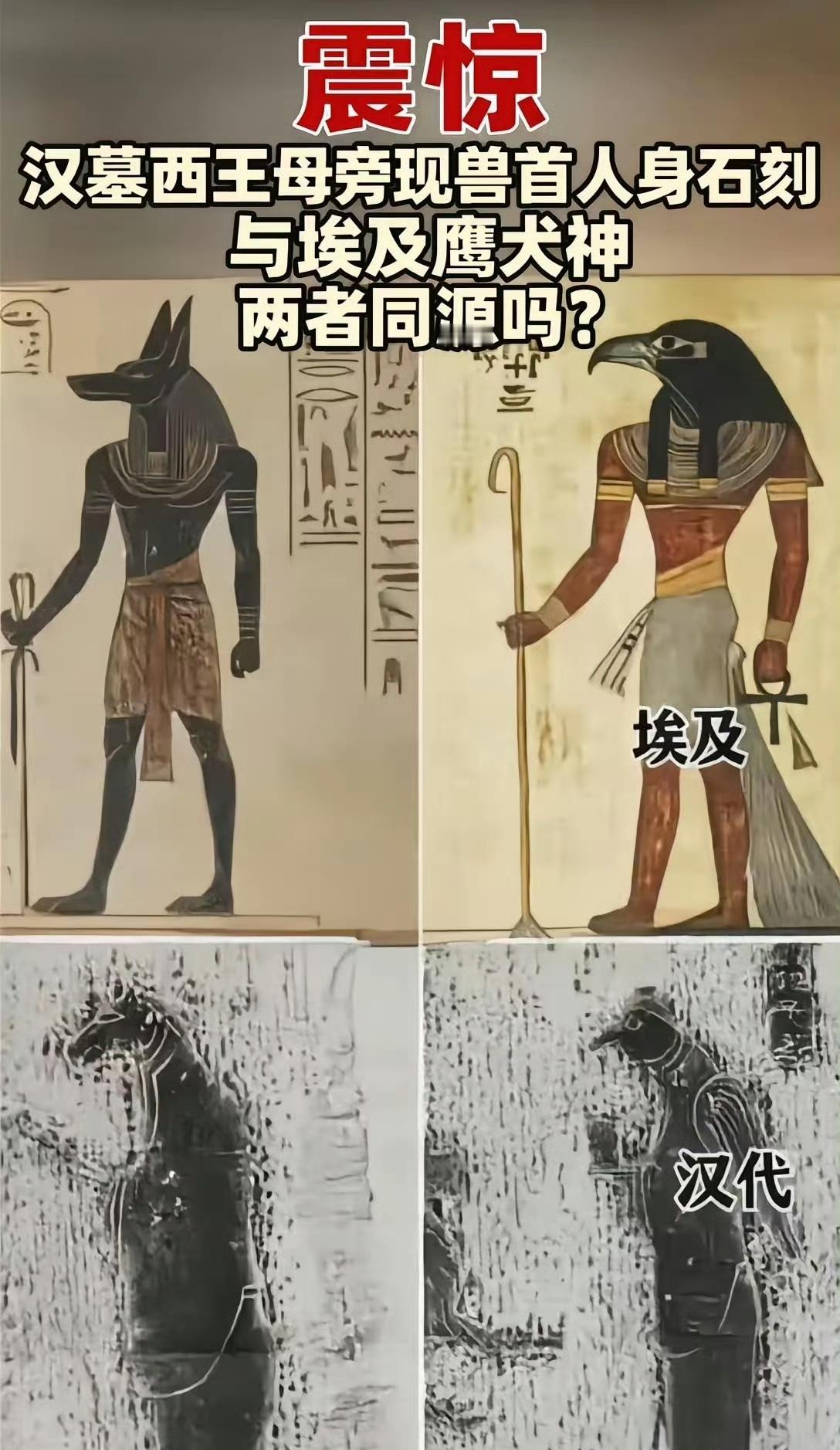 这个有点意思