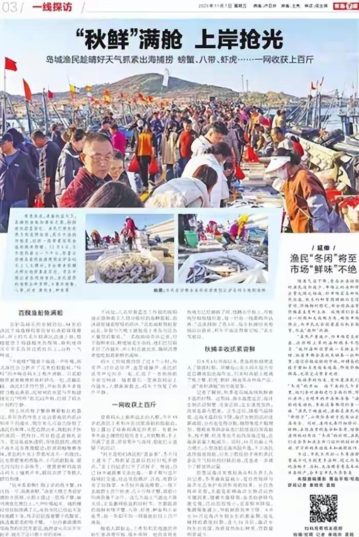青岛驴岛码头震撼现场！百艘渔船满载而归引发全城疯抢，老渔民含泪道出三十年来最肥美