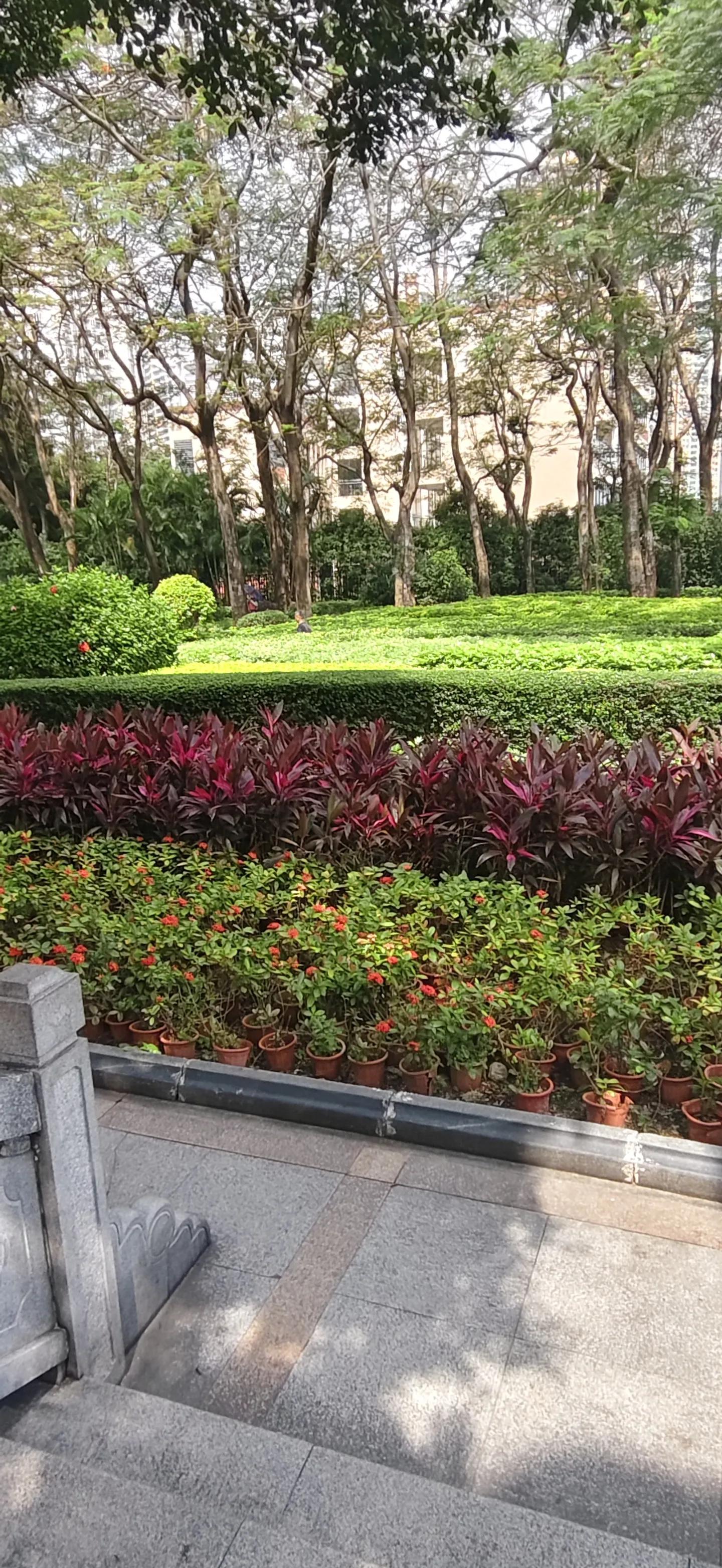 说件真事，见识一下广州某女那是一个周末，我的准儿媳，一位土生土长的广州姑