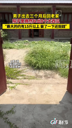男子捡到宝了！江苏徐州一男子外出三个月后回老家，结果他推开门却发现了让他惊喜的一