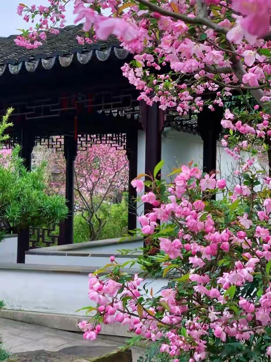 活得明白人生要活得通透，其实就藏在如何过好一天、一年、一生里。过好每一天