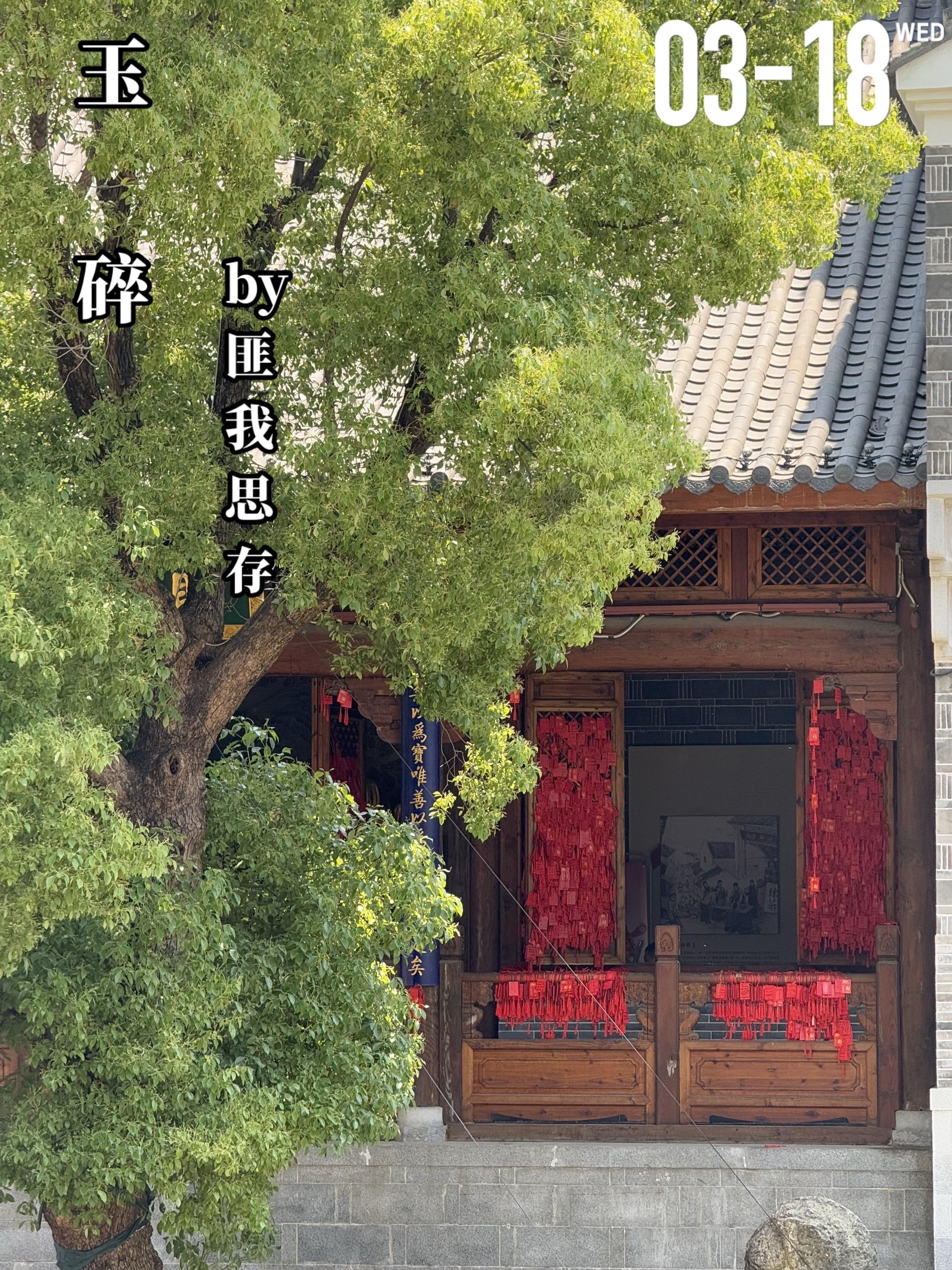 《玉碎》by匪我思存。慕容清峄（男主）与任素素（女主）初见时就被她吸引...