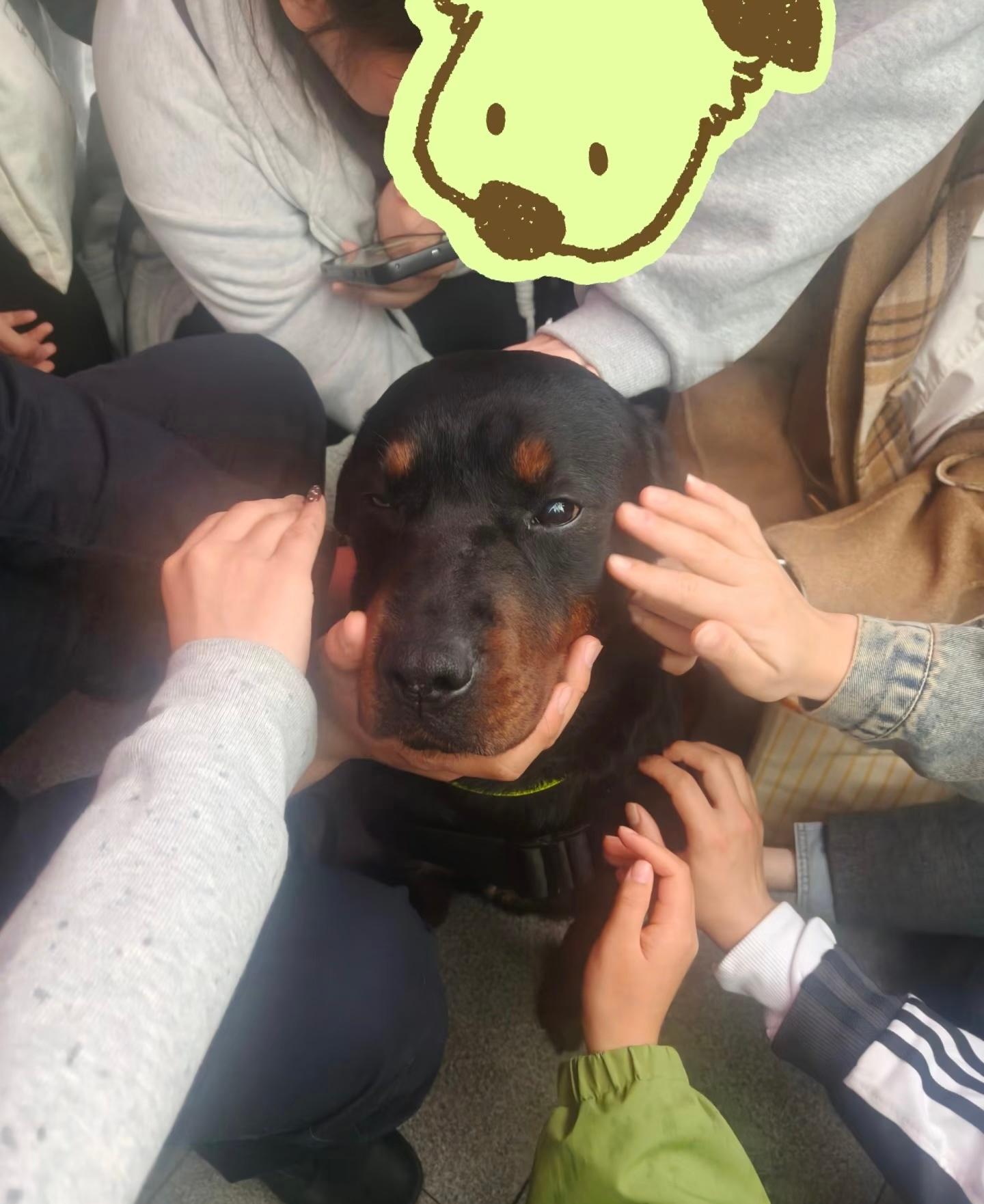 警犬:当初没说要干这个啊