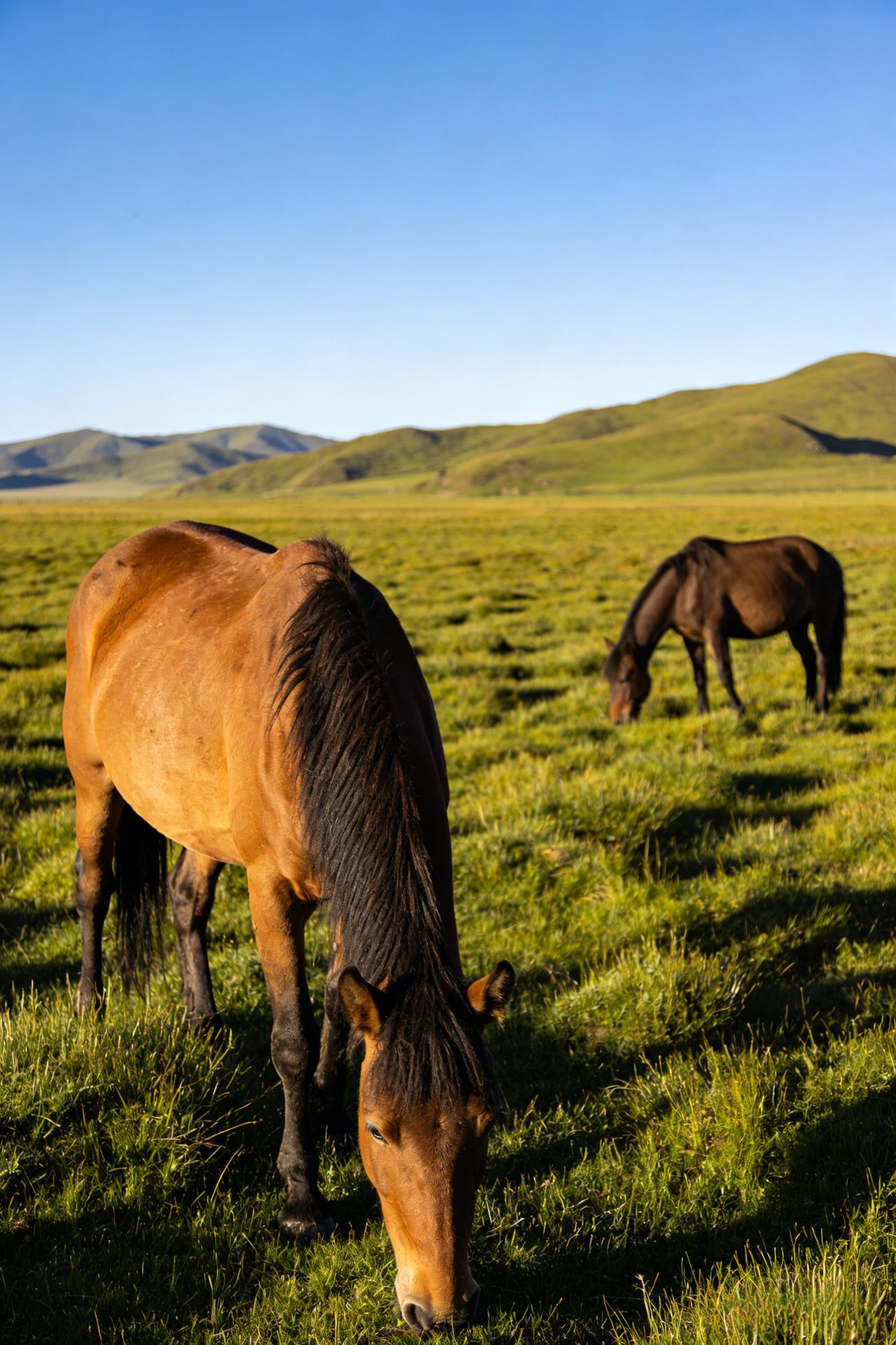 经济学家说：“在学历贬值的当下，最有价值的是稳定的工作，而不是去读研究生。我们