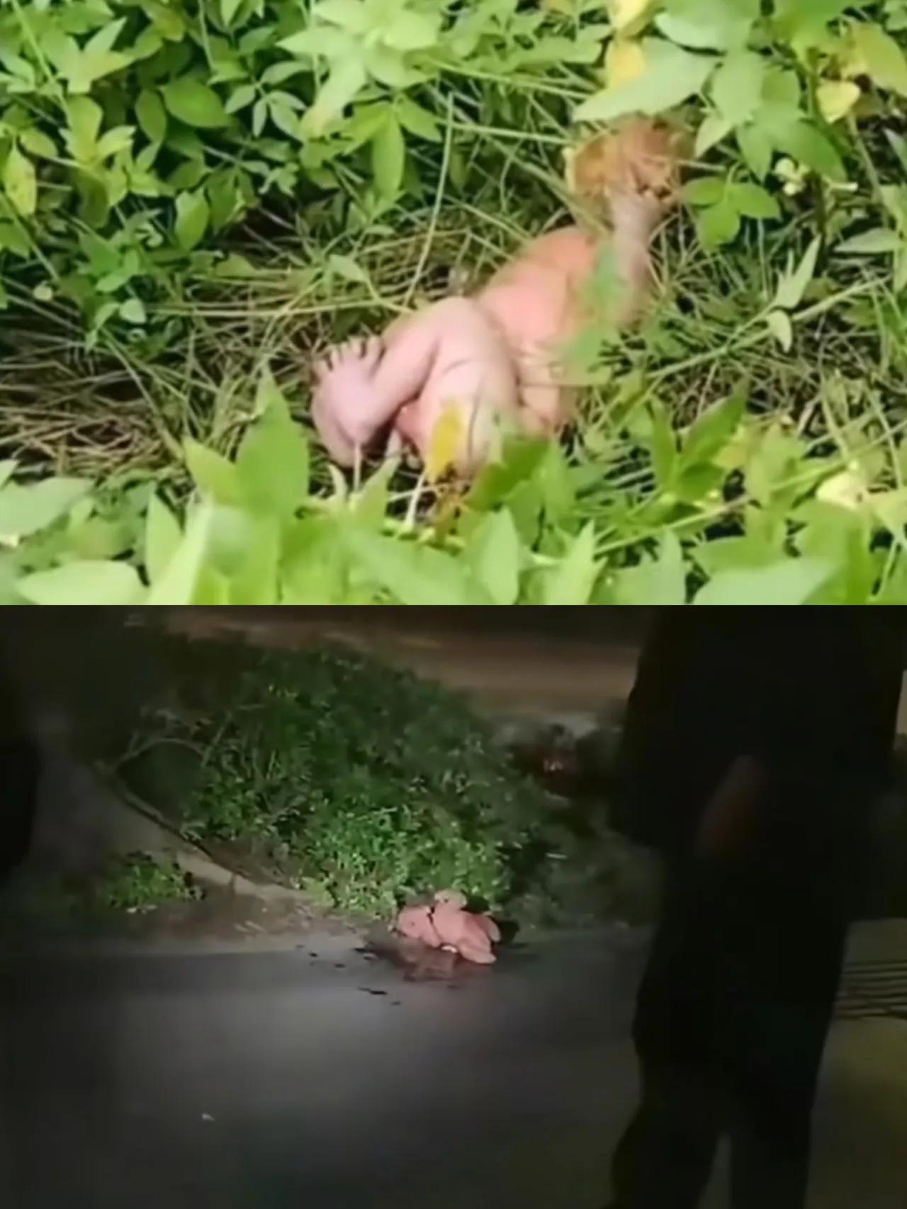 真心奉劝大家:路边看到被丢弃的孩子,千万别脑子一热就带回家!不是质疑孩子本