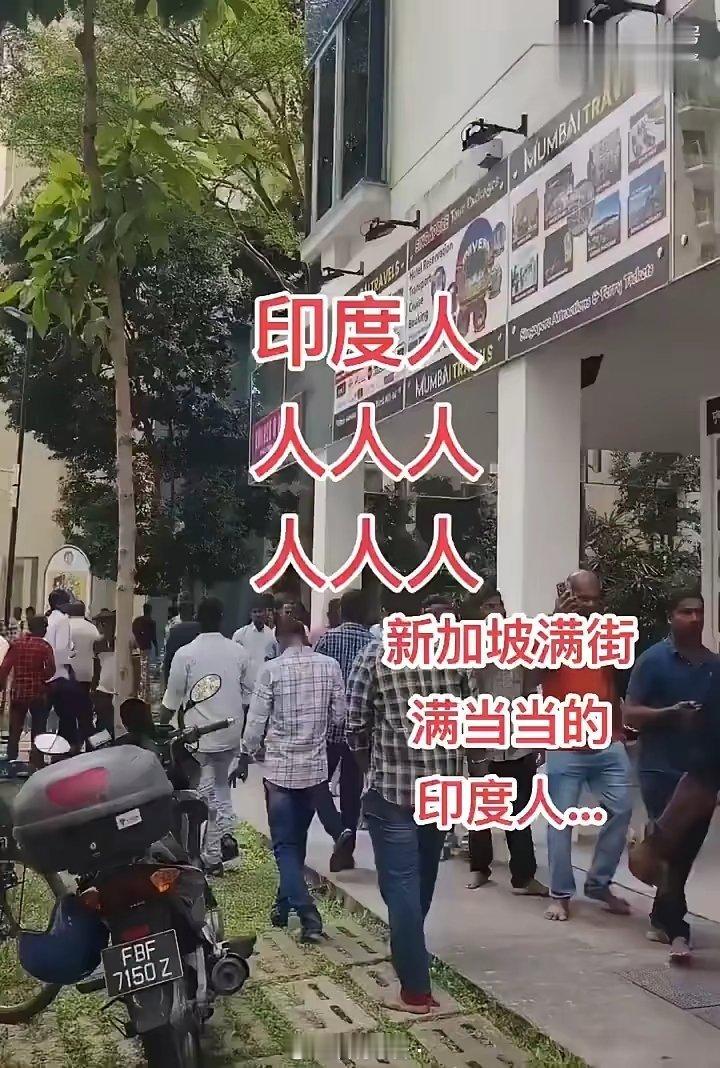 新加坡压制华人结果给印度人提供了机会。华裔为了证明自己的公平公正，对一切种族一视