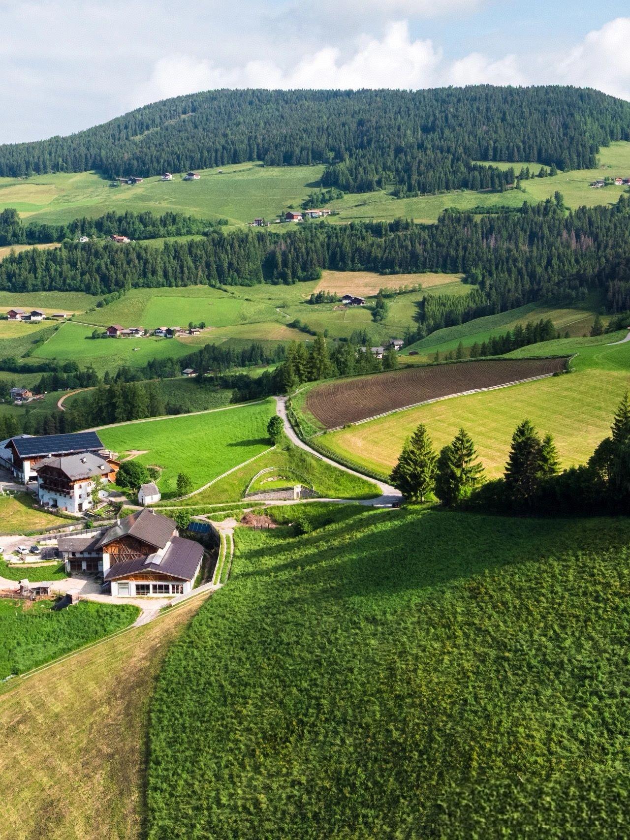 遇到一个高二的学生家长，其实他们家的孩子已经很优秀了，每次考试都在211线以