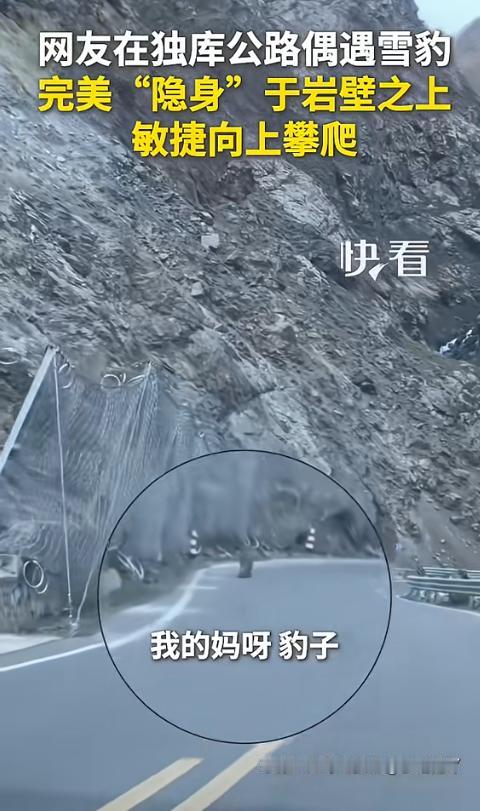 “上新华社了！”新疆独库公路上，一对游客驾车行驶途中，副驾女子无意间抬头望向路旁