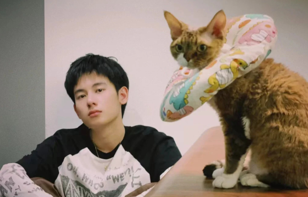 胡先煦我有一儿一女两只猫猫猫那么可爱，当然可以当孩子养了，以胡先煦的年纪一儿