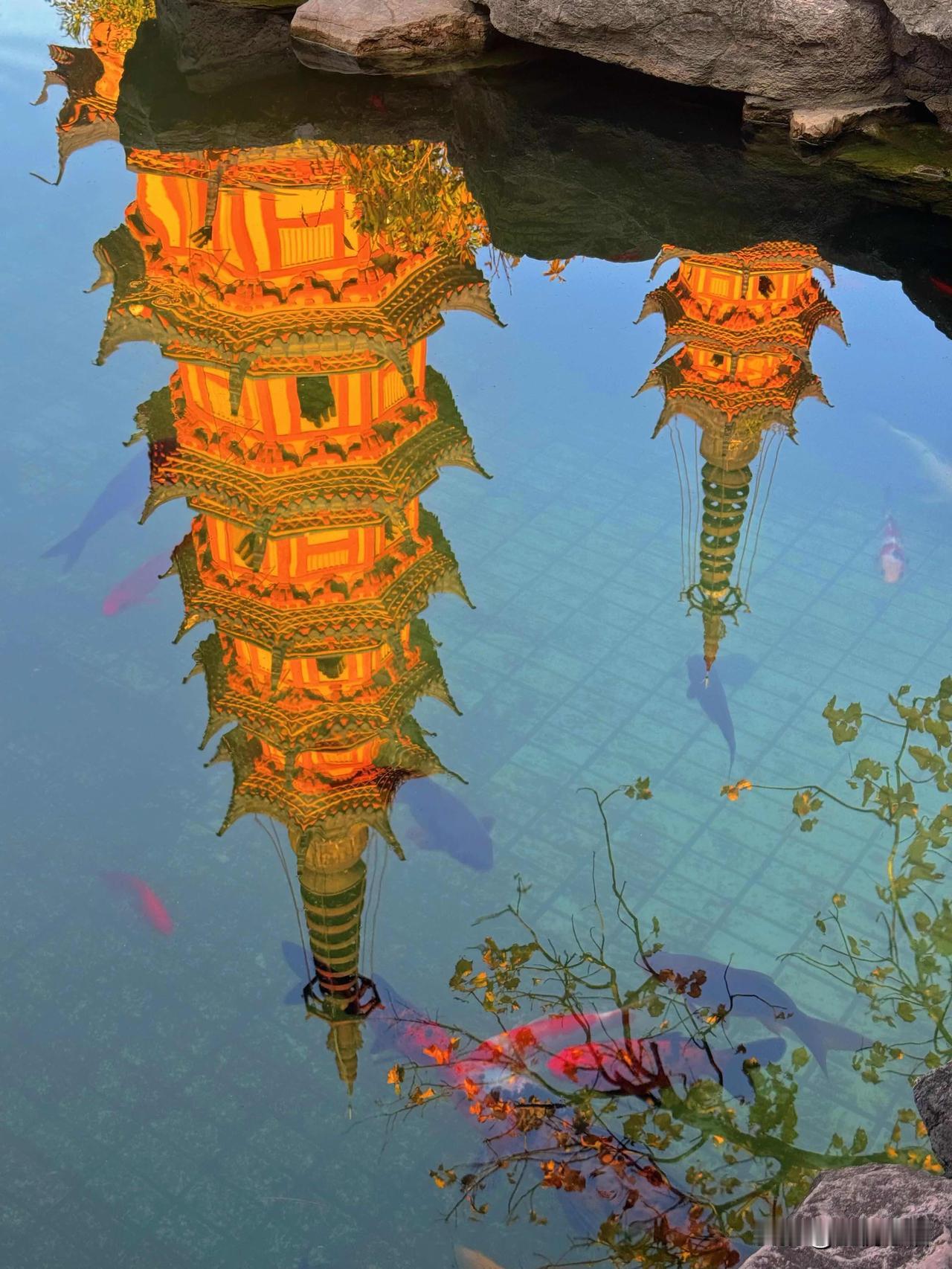 苏州的美，一半都藏在水里！来了苏州才发现，这话一点不假！苏州的水太绝了！