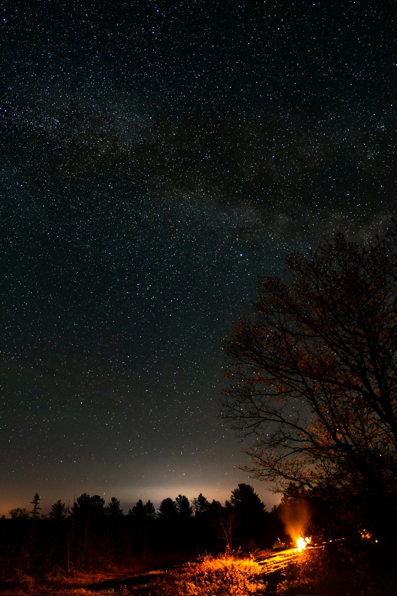 “在某个地方，有不可思议的事物等待着被发现。”——卡尔·萨根