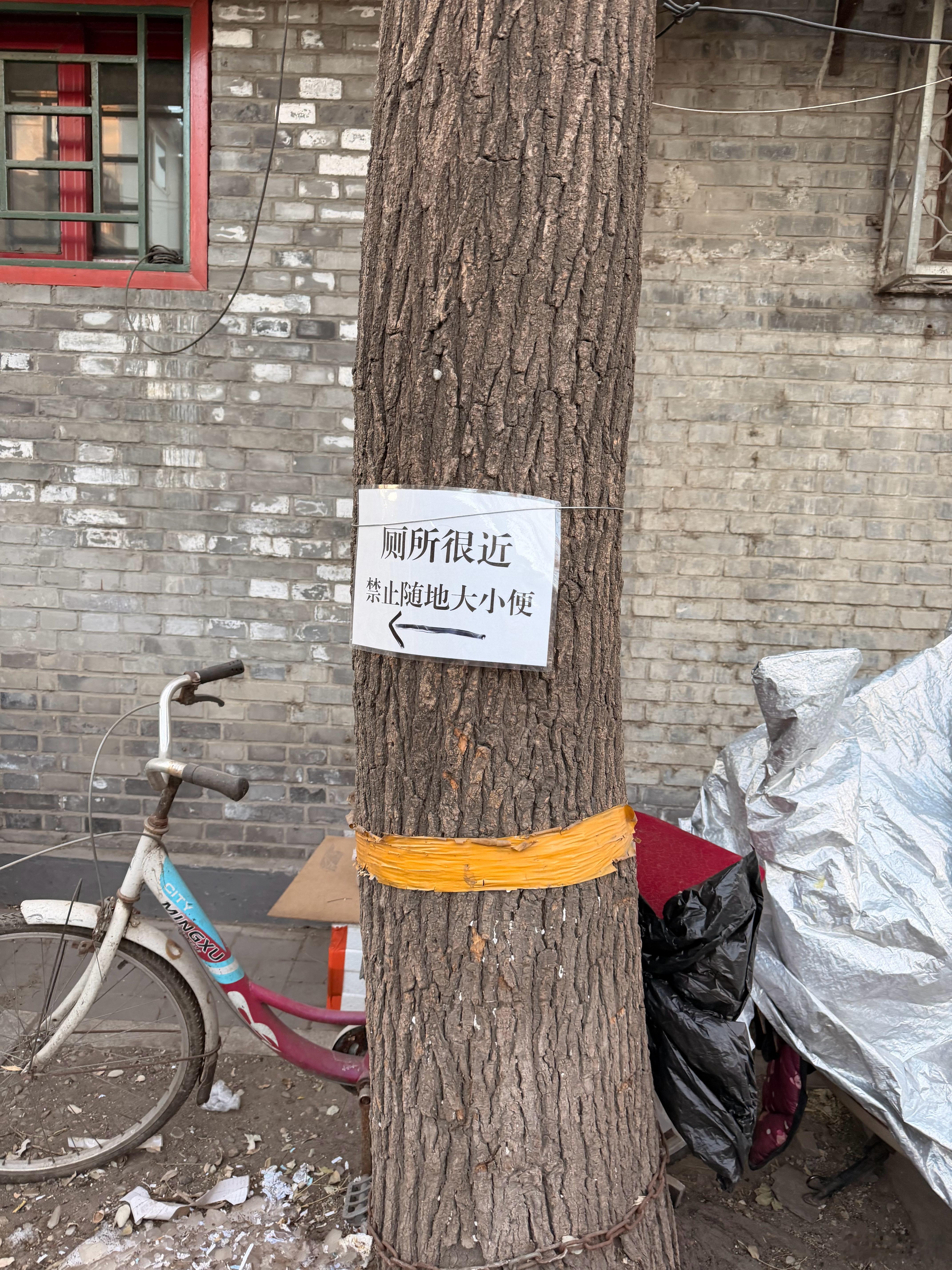 哈哈，整条胡同每棵树都贴了这个，估计是真被尿的受不了了！