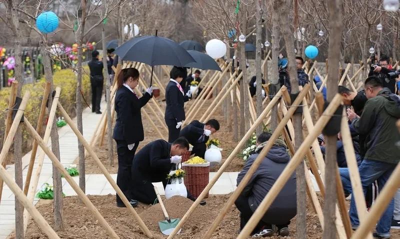 大葬与二次葬的区别及其文化内涵在中国传统丧葬习俗中，大葬（血葬）与二次葬（
