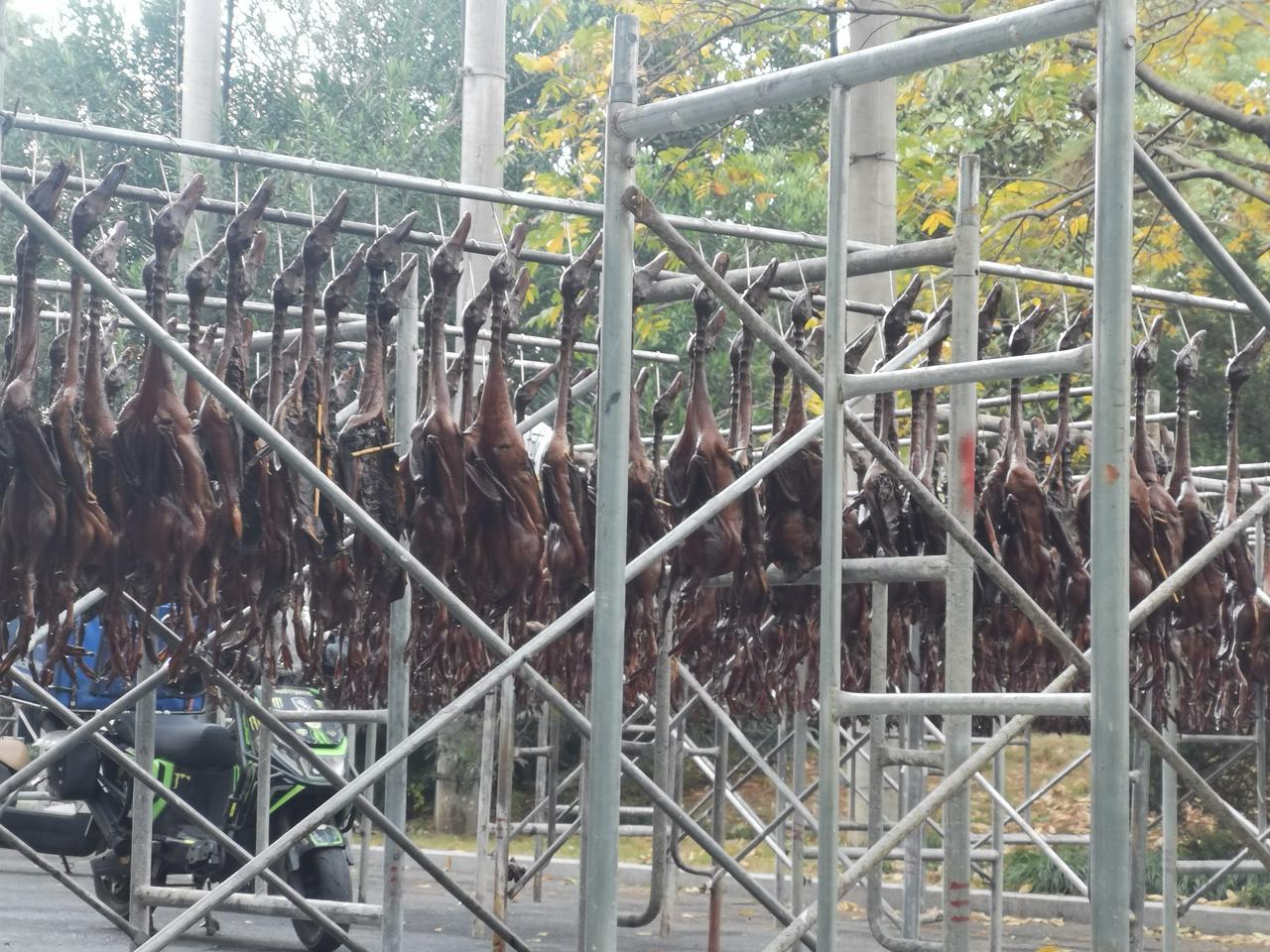 入冬了，酱鸭必须主打！在杭州，入冬时节大街小巷都是晒酱鸭的，油光锃亮，简直是冬天