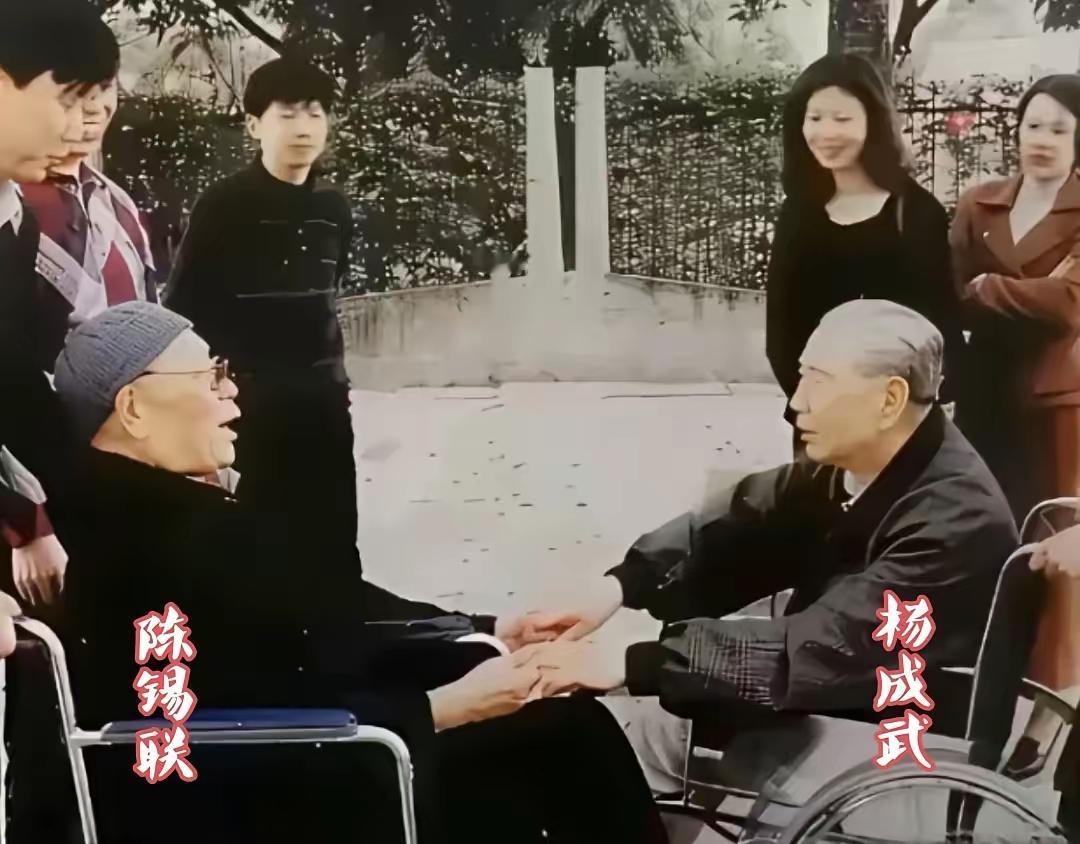 1998年的深圳街头，轮椅上的陈锡联和杨成武意外撞见。年过八旬两位老人高兴得闪着
