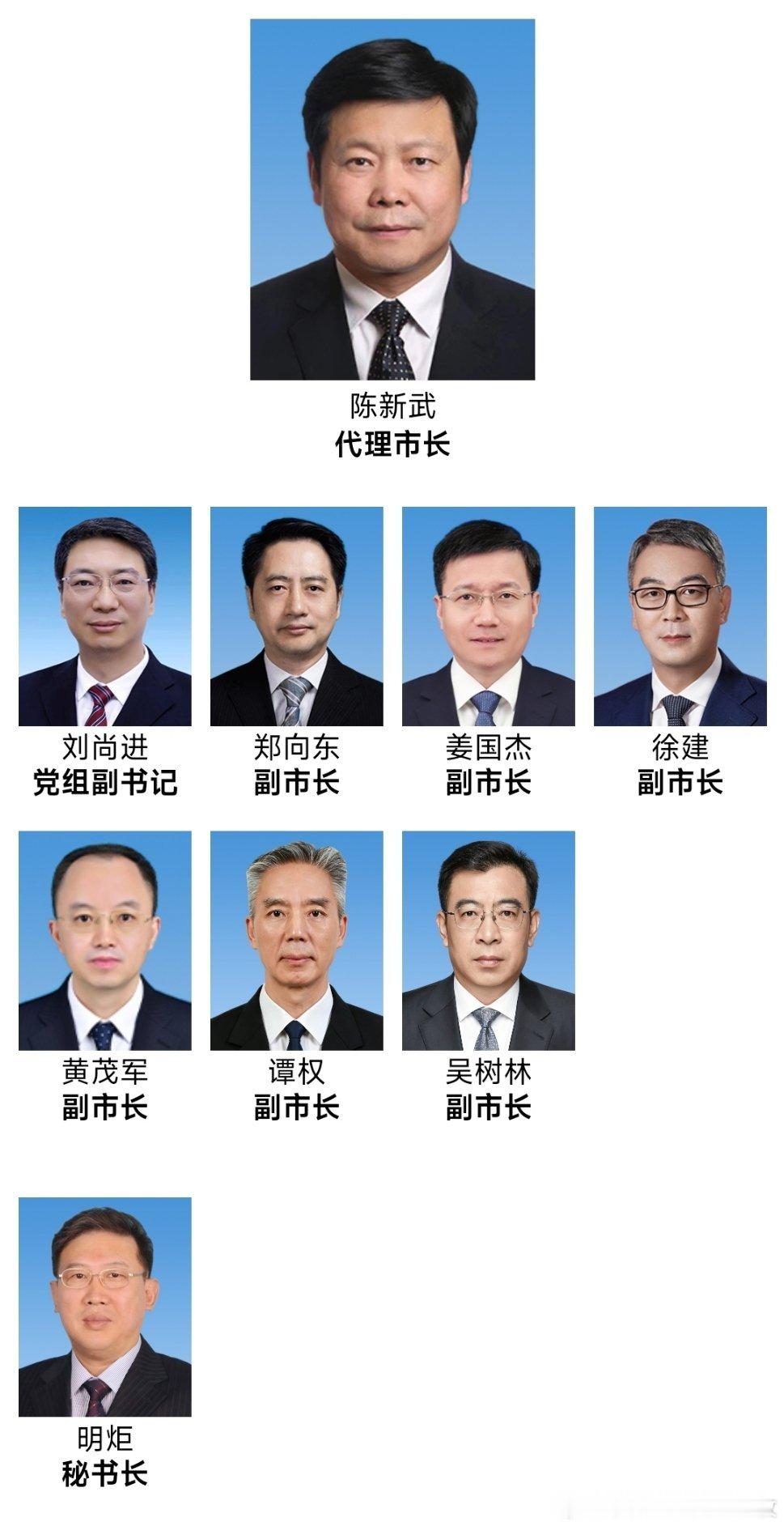 陈新武任重庆市代市长重庆市政府领导班子调整：陈新武任重庆市政府代理市长；谭权任重