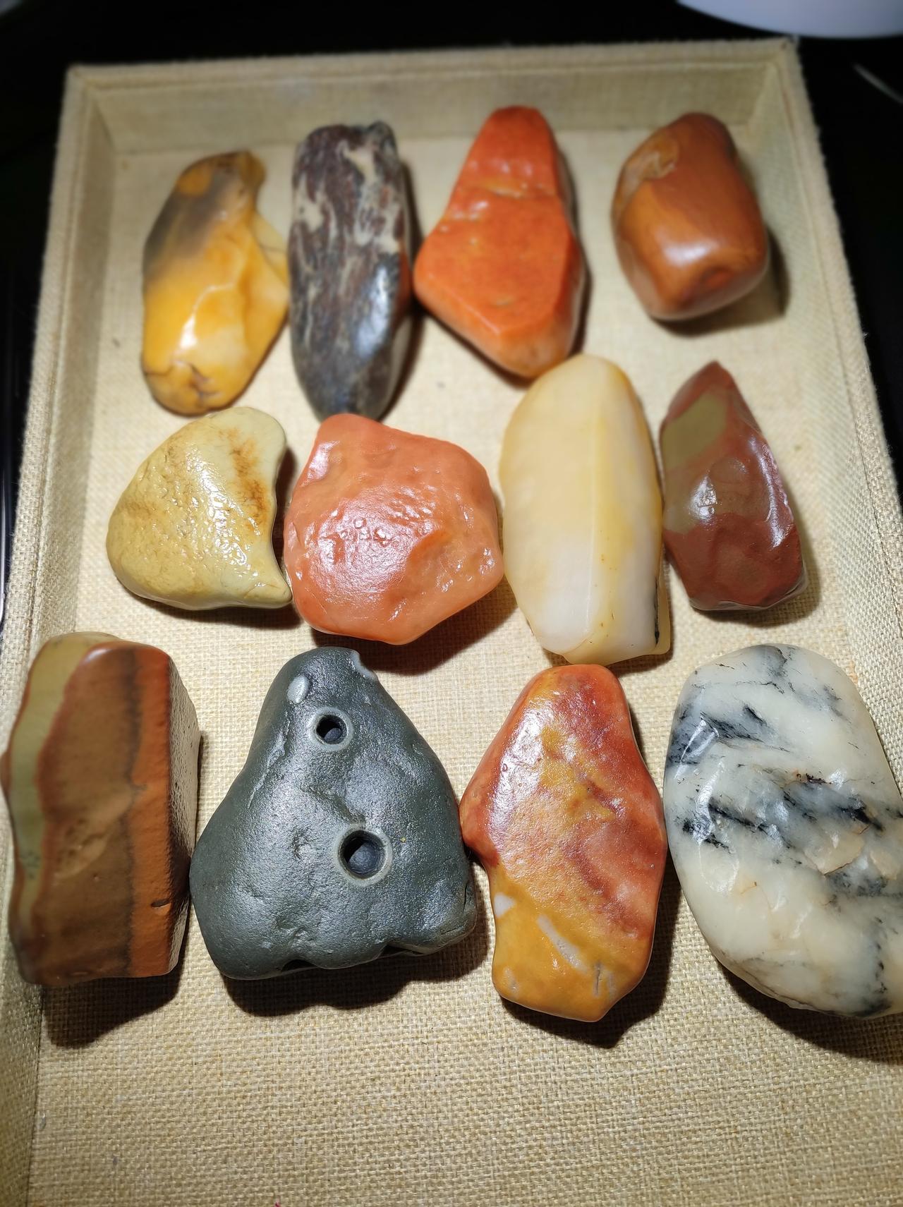 您会爱上美丽的金丝玉吗?