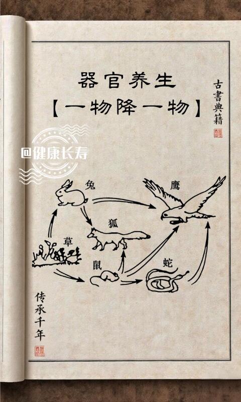 器官养生一物降一物健康养生​​​