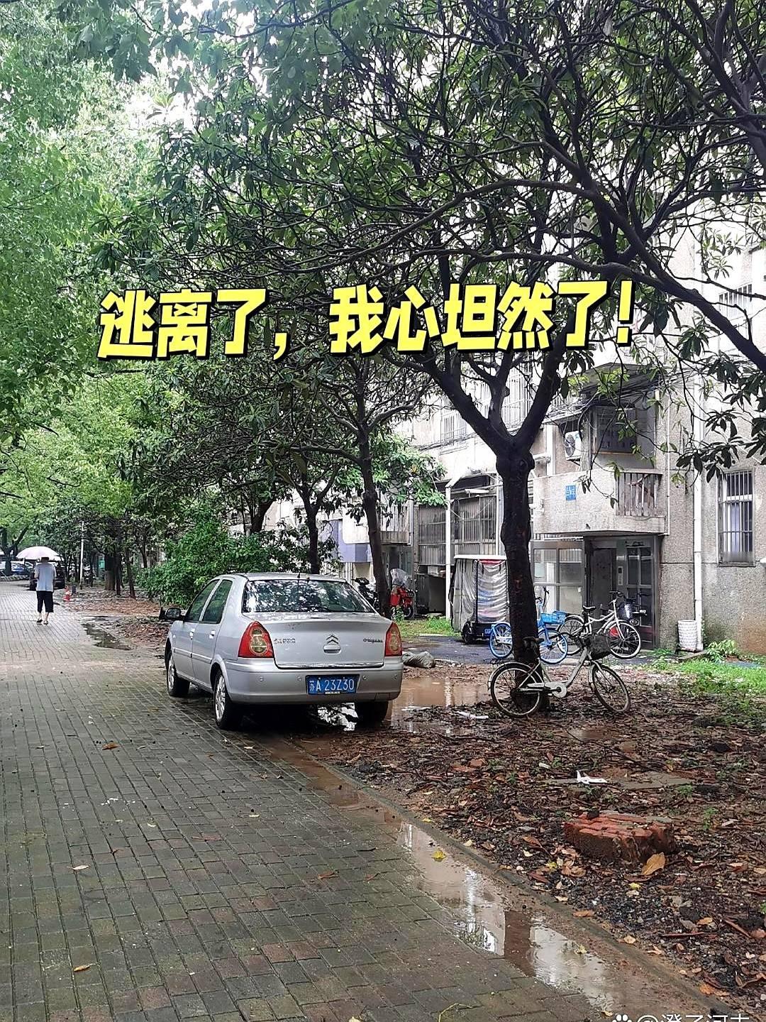 “20年房子卖了，心里松快。”昨天路过扬子石化生活区，垃圾堵路，树枯草黄，和隔