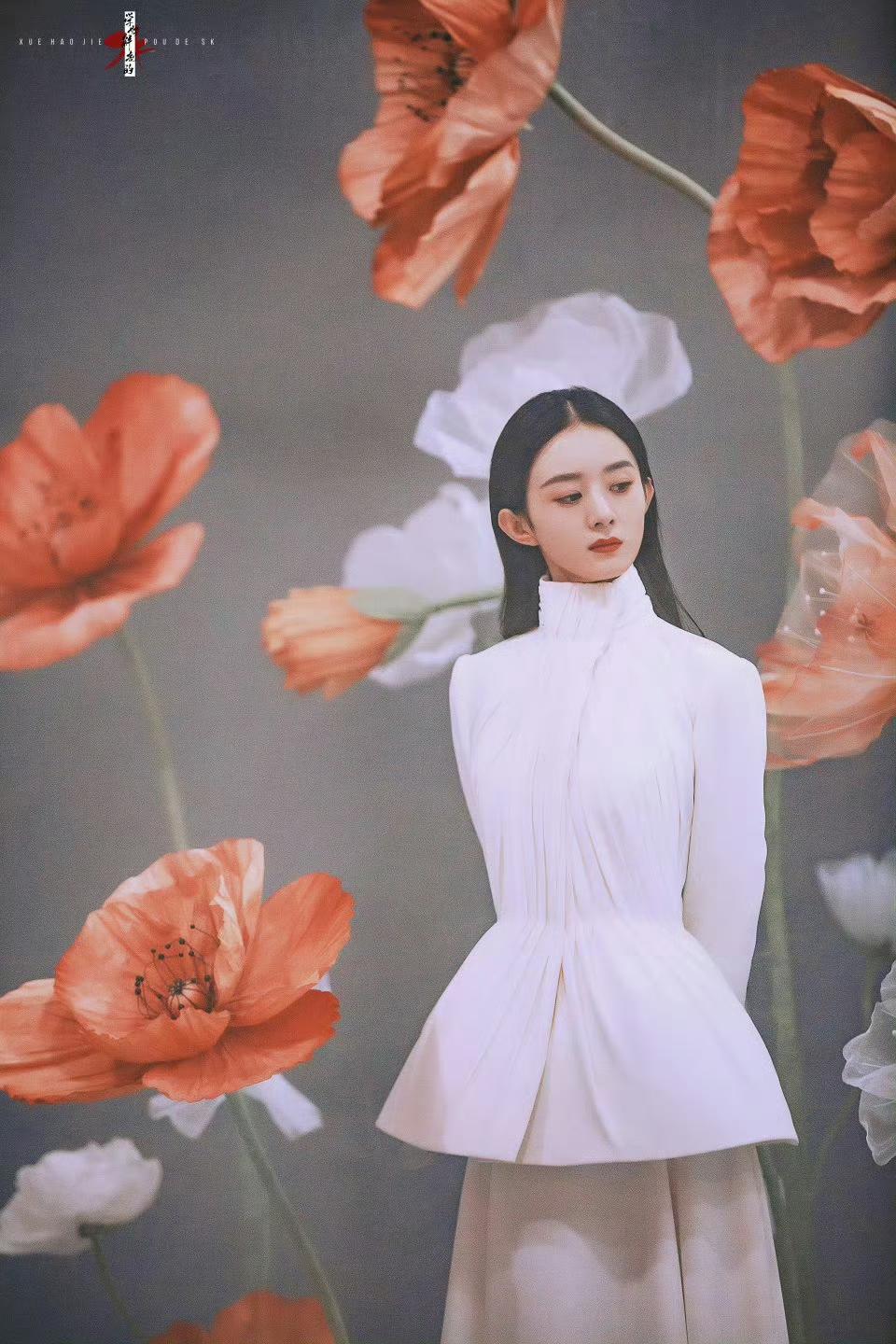 赵丽颖花海造型写真｜人间花仙子如期而至巨型花朵环绕身旁，一袭简约长裙衬托温婉轮