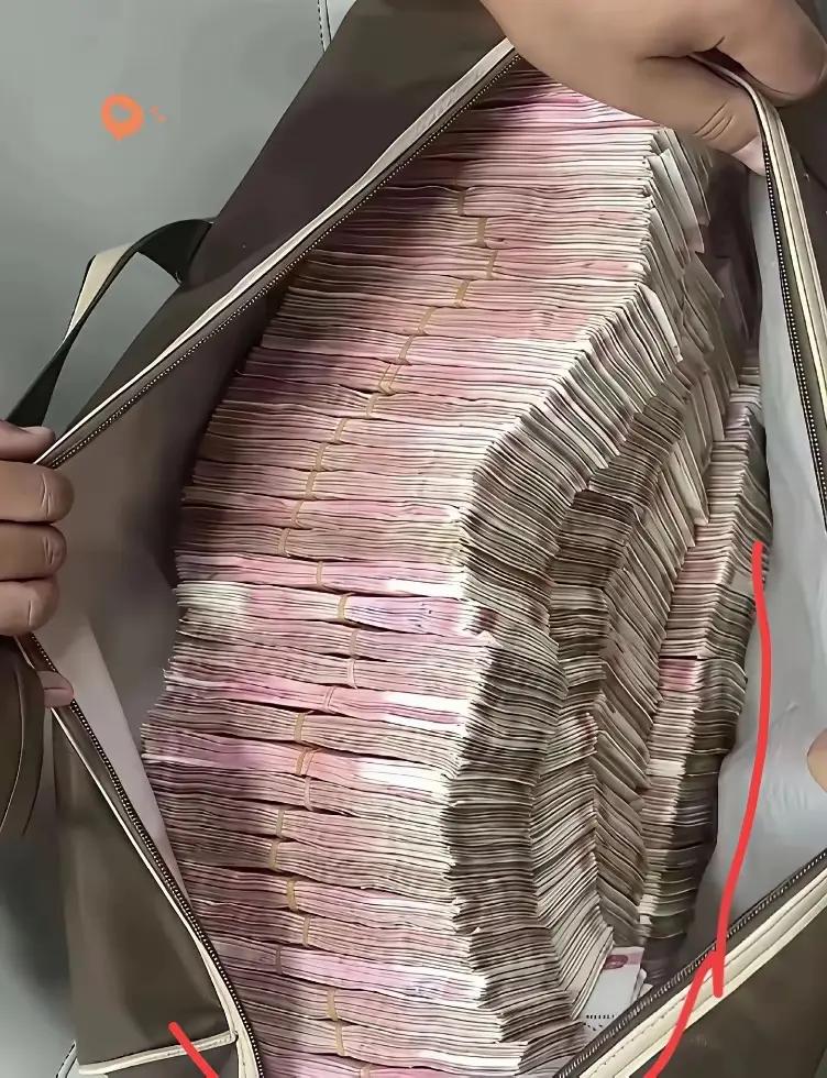 假如给你这么多钱💰💰💰，你打算怎么花？假如给你几十万