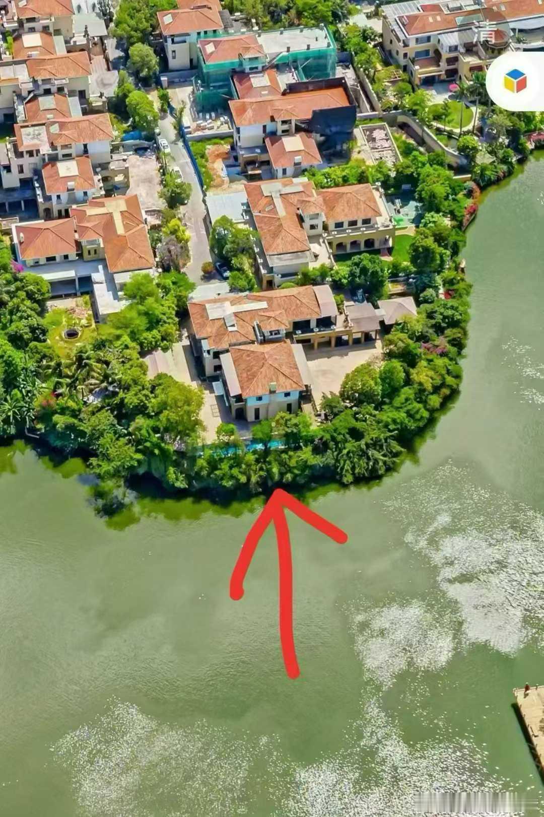 纯水岸楼王别墅，3.6亿拍下，还带了租约呢。​​​