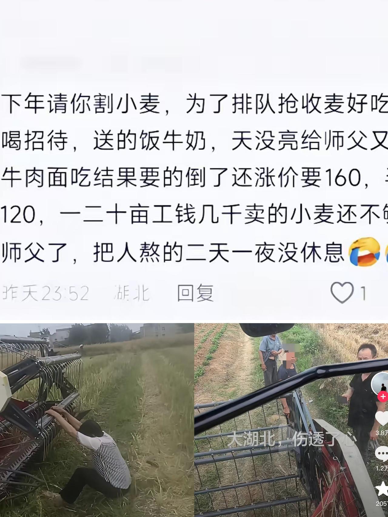 湖北麦田的这场收割风波，看得人心里五味杂陈！一夜之间全国收割机师傅集体绕路，农户