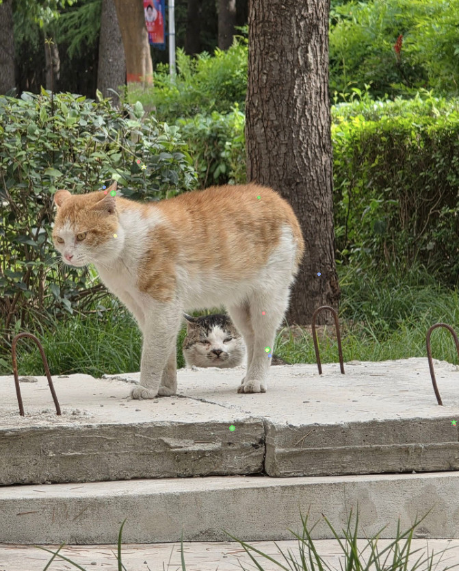 活在裆下。
