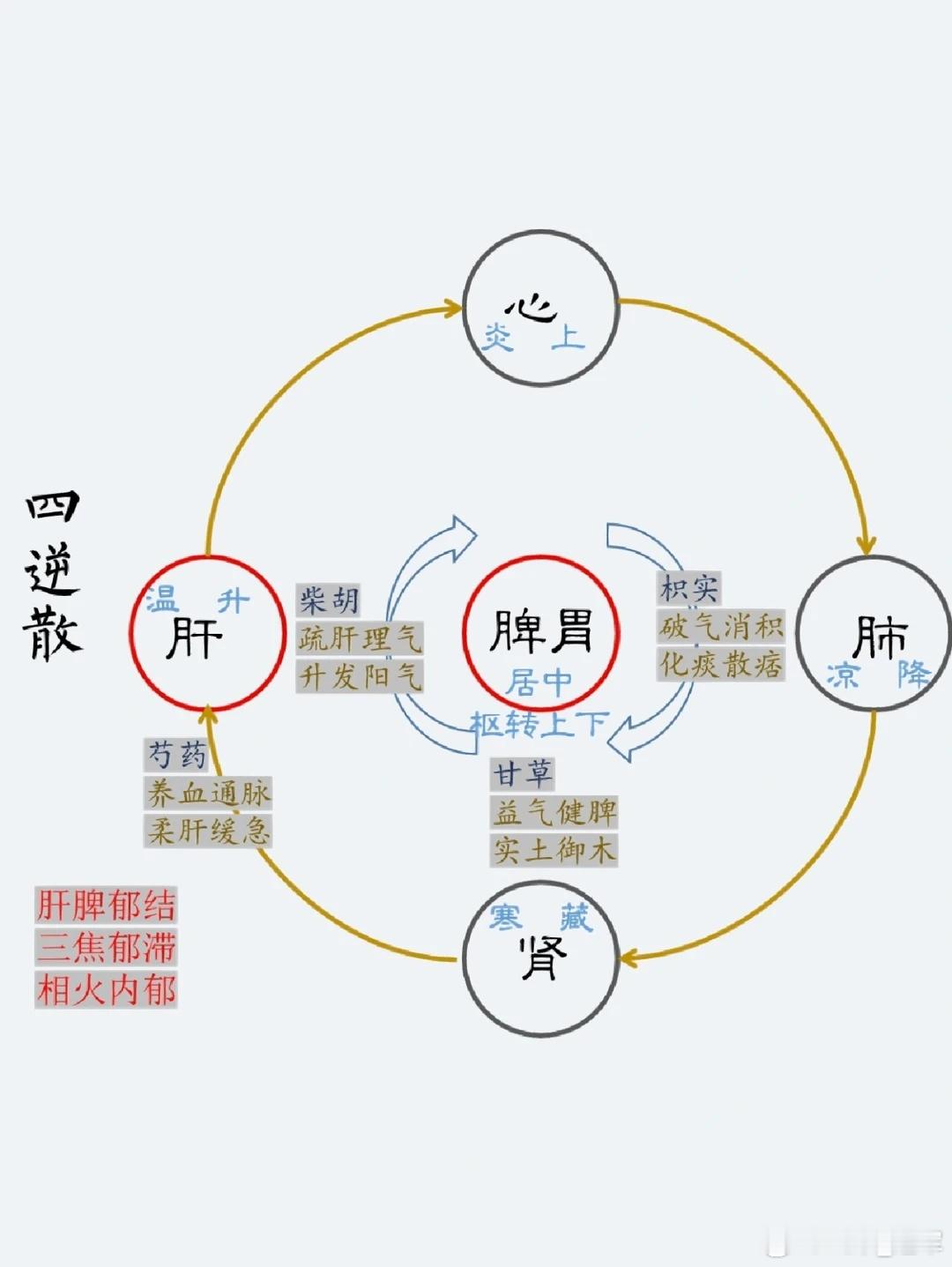 四逆散四逆散方只四味，柴芍枳草配伍贵疏肝理脾通三焦，气机一调诸症退阳郁四逆手脚凉