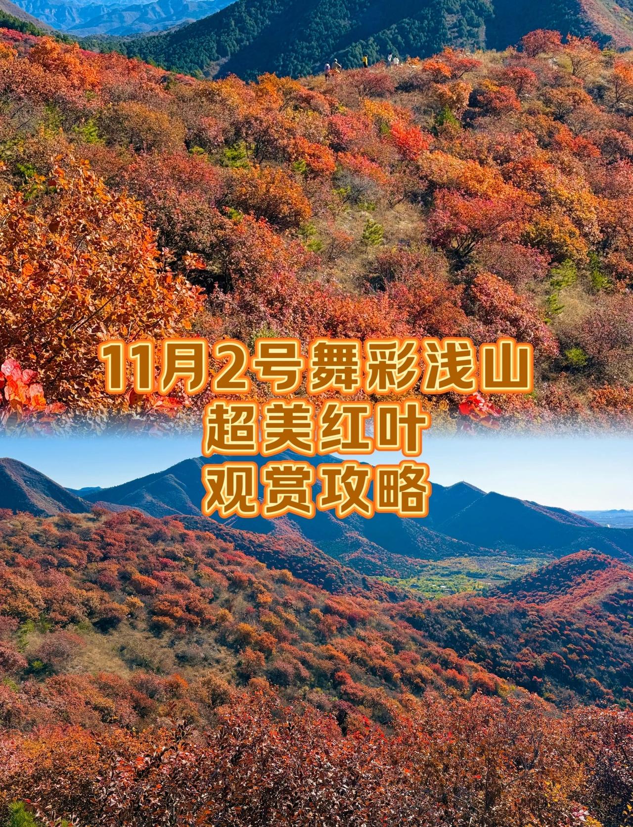 11.2舞彩浅山超美红叶｜观赏攻略看红叶只知道跑香山？顺义超美舞彩浅山红叶观赏