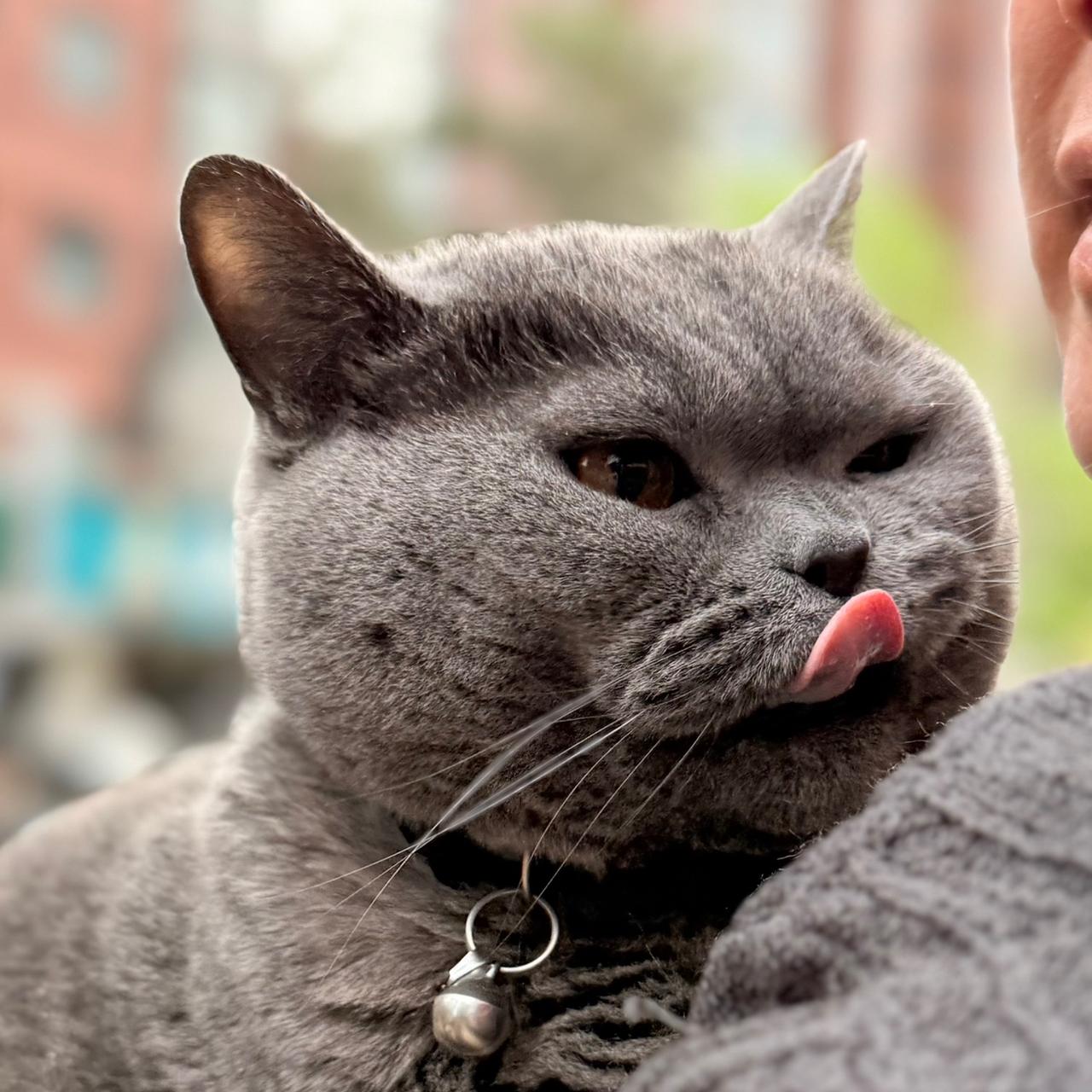 守住自身能量，好运才会一直跟着你：1.运势顺、财运好时，不乱借钱、不随意担