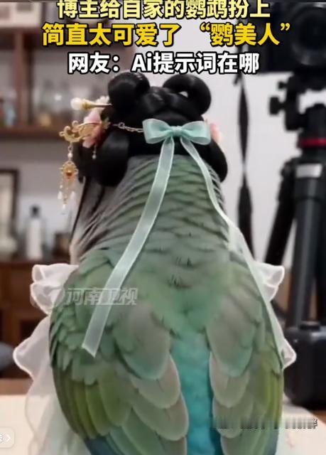 安徽一位女子给自家绿毛鹦鹉穿上浅绿色古风纱裙、戴上发簪，鹦鹉全程乖巧站立，不吵不