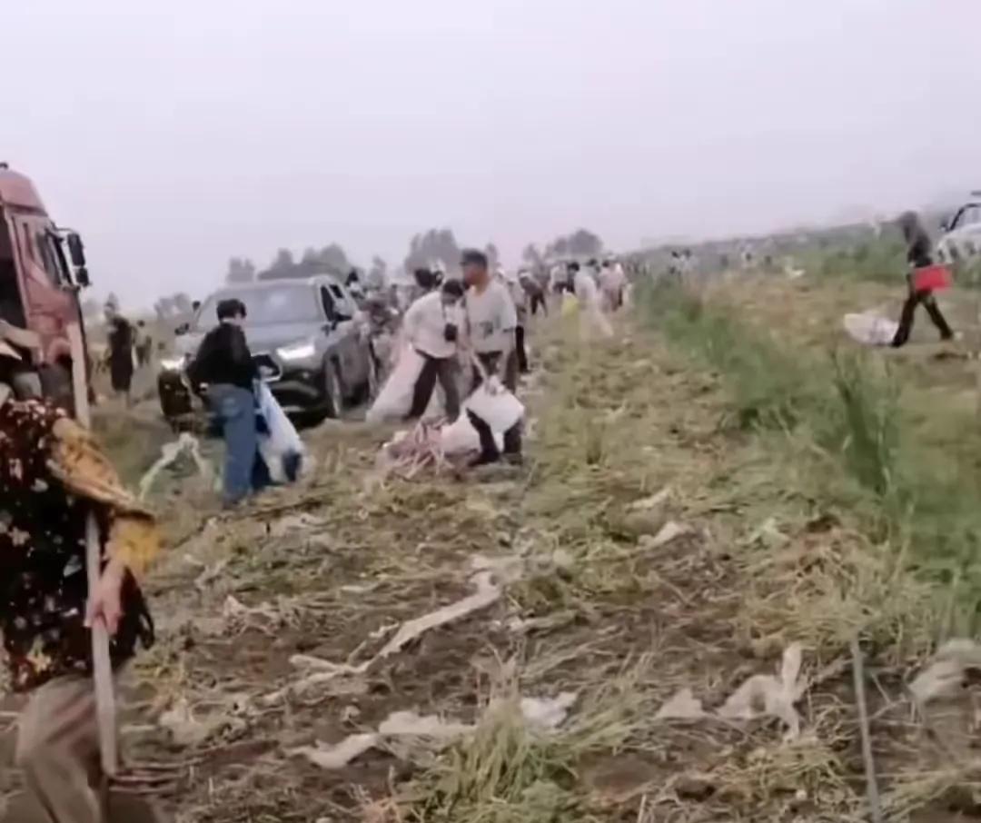 看了宿州土豆哄抢事件，挺丢脸的，平时嘲笑美国的零元购，结果回旋镖打在自己头上。