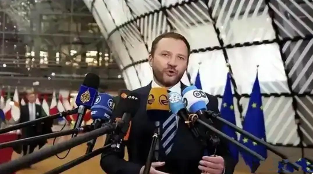 爱沙尼亚警告中国！爱沙尼亚外交部长马古斯·察赫纳公开表示:爱沙尼亚对中国的耐