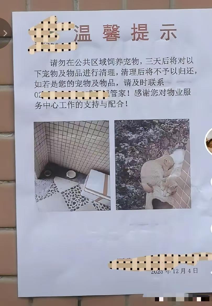 一个物业贴布告不让投喂流浪猫，说三天后会对宠物物品进行清理。物业你以为你是谁啊，
