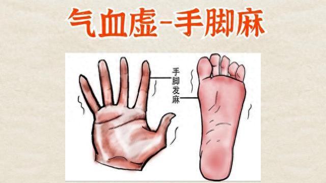 手脚发麻反反复复！张仲景通脉妙方，气血一通，麻木自消内容仅供参考，如有不适请线