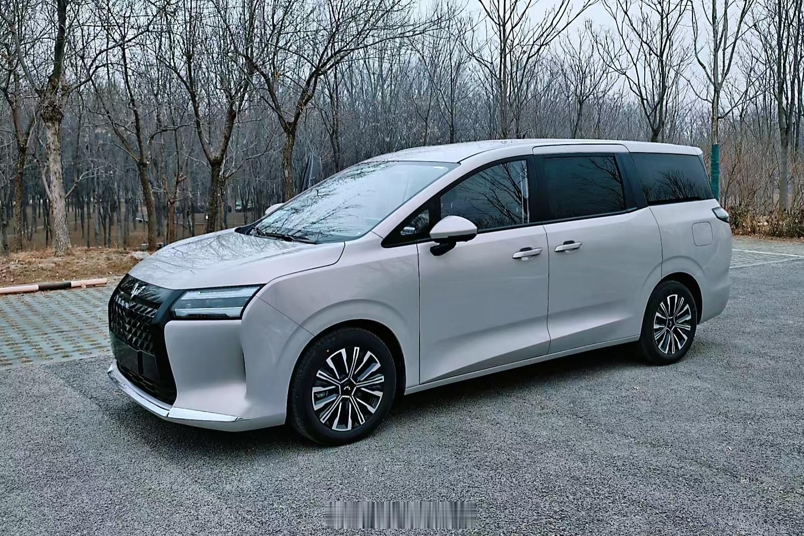 有一说一，五菱星光730的油耗真不赖。不用看上面那两行，光看最下面平均油耗就行