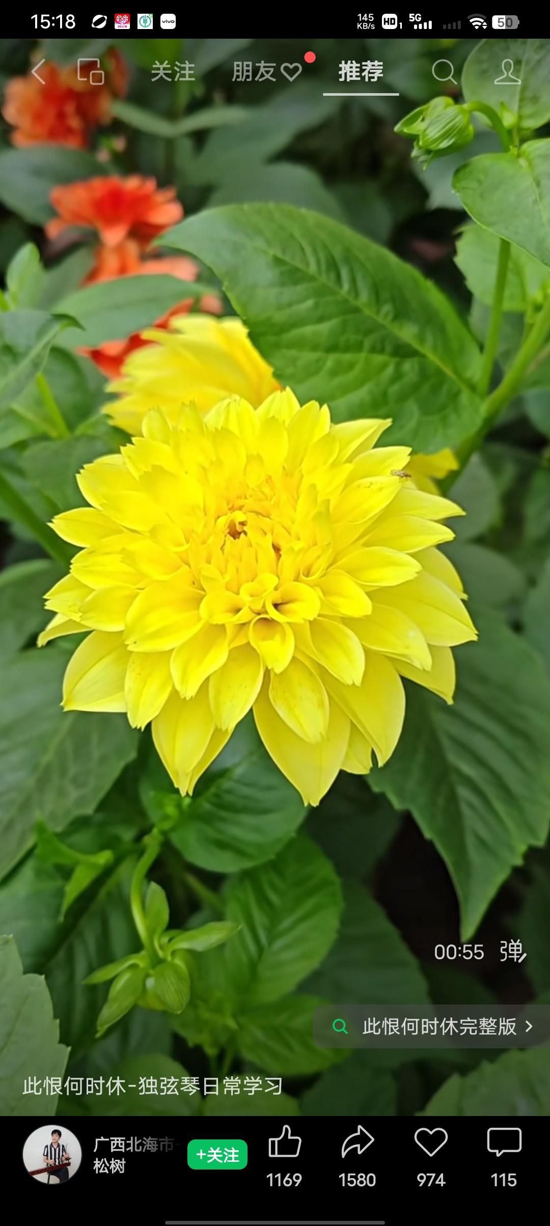 昨天我妈来家里了，本来是说好了上午就来的，结果下午才到，我还好奇正想问问呢，你猜