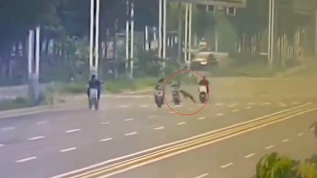 男子遛狗从不拴绳 撞人后否认养狗