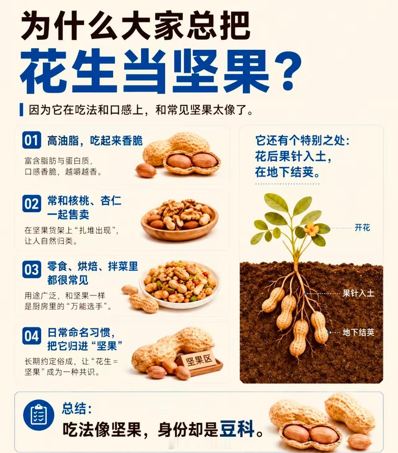 花生不是坚果，是豆科植物。花生属于豆科，果实是荚果，我们吃的“花生仁”其实是种子