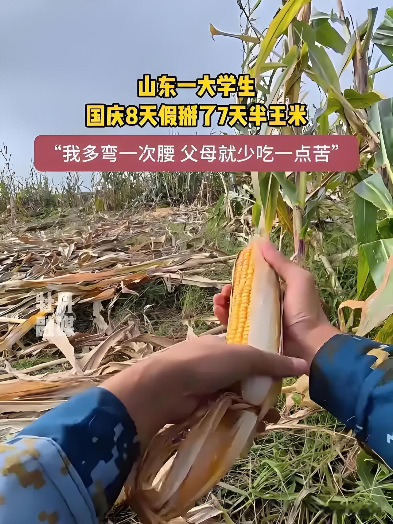 “我多弯一次腰，父母就少吃一点苦。”大学生孟成的一句话，惊爆全网！这位大学生