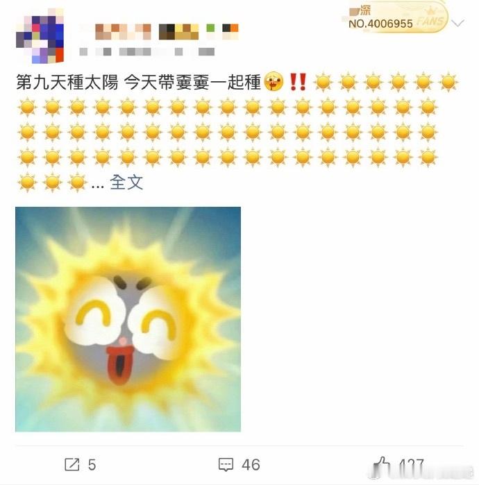 周深粉丝种太阳成效显著给周深广州演唱会种太阳深深担心雨天影响舞台，粉丝火速种太