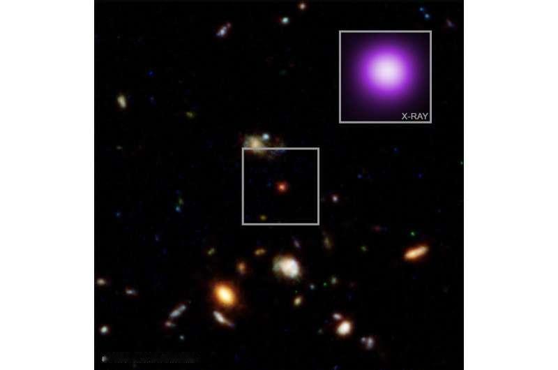 韦布望远镜开始工作后不久，天文学家就在早期宇宙里发现了一批奇怪的东西：几百个又小