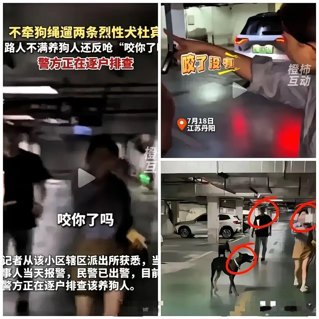 狗主人和两只烈性犬的处理结果来了，我以为是对狗主人教育和罚款5000元，也以为会