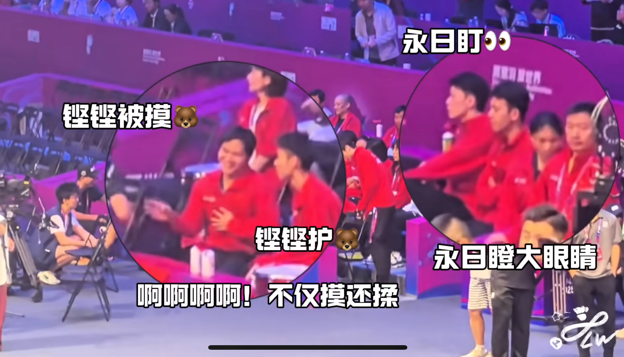 谁敢碰你俩搭档​​​