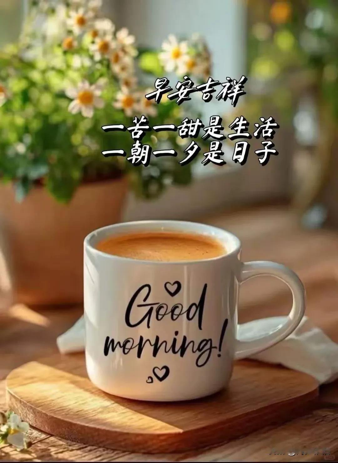 《鹧鸪天·安暖流年》最美光阴不羡华，平安康健即清嘉。繁花纵有千般艳，怎