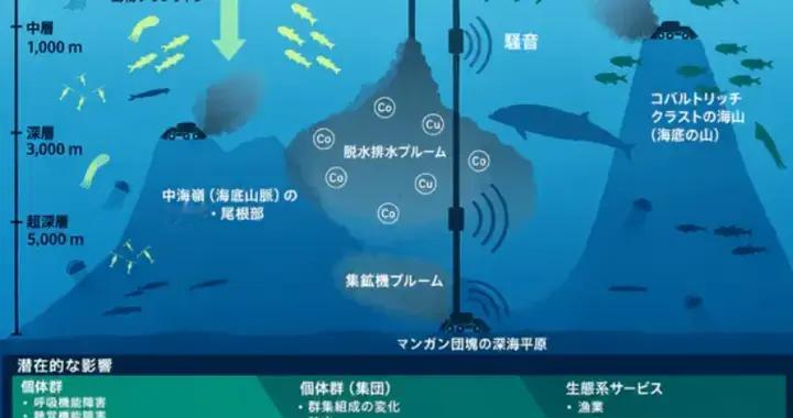 日本的海底稀土计划陷入困境