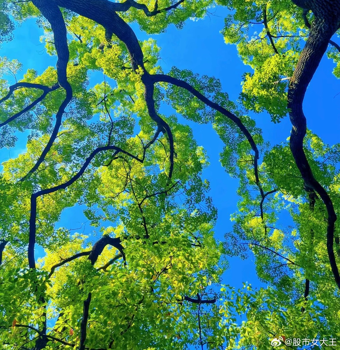 5月13日：股市热门股点评恒而达：收购利好，一字加速，皖通科技：放量突破，继续关