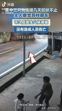 “这下解释不清了！”四川乐山，一女子发现家里养的3只狗，总是朝着车子停放的位置狂
